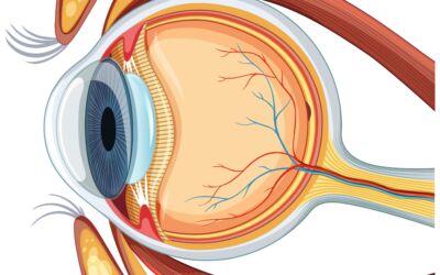 Know the Signs and Symptoms of Retinal Detachment